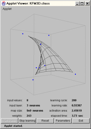 3D SOM image 2