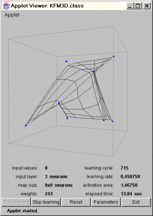 3D SOM image 4